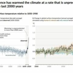 Zmiany-klimatu-w-raporcie-IPCC-590x2000